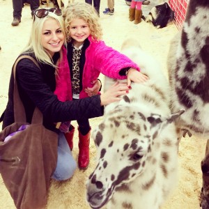The National Western Stock Show 