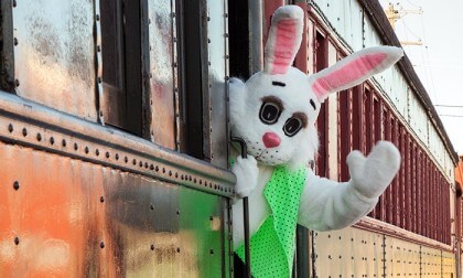 Bunny Express Train
