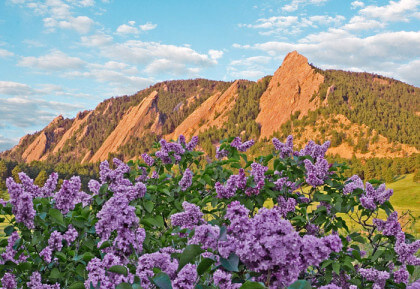 Chautauqua Park Boulder