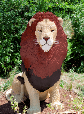 Leo The Lion Contest Denver Zoo
