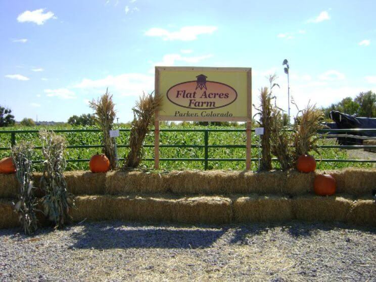 Flat Acres Farm | The Denver Ear
