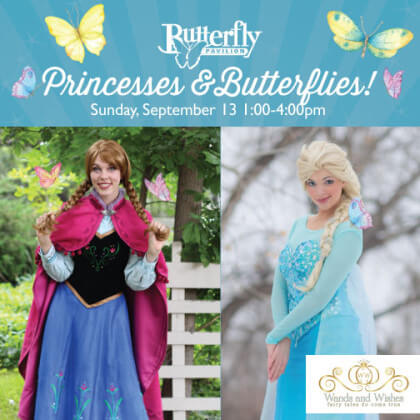 Princesses & Butterflies