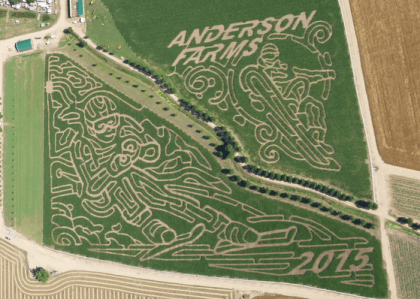 Anderson Farms Corn Maze