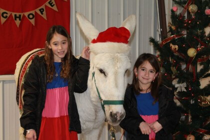 December Donkey Delight