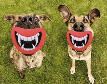 Silicon Chew Toy for Dogs