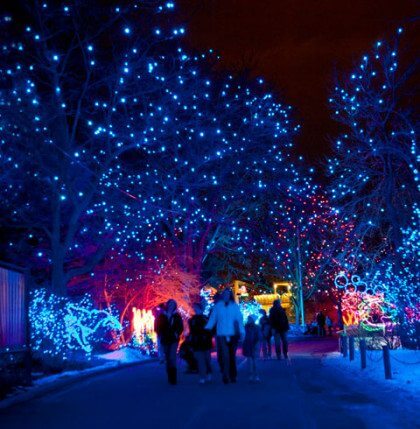 Zoo Lights 2015