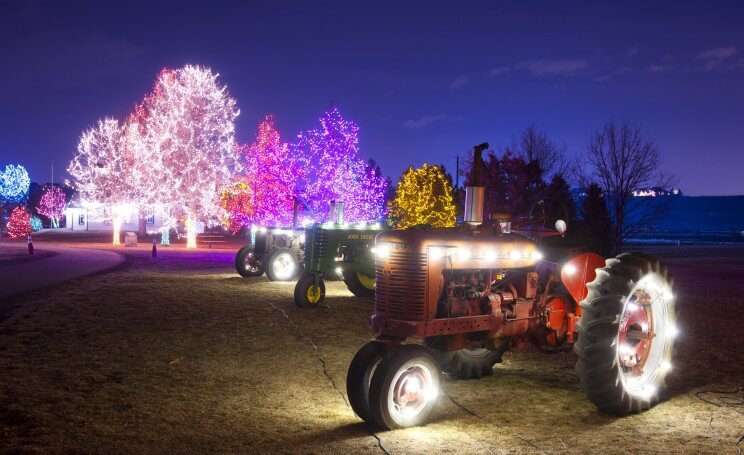 Trail of Lights | Denver Botanic Gardens | The Denver Ear