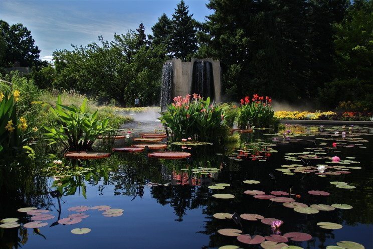 Denver Botanic Gardens | The Denver Ear