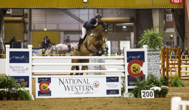 National Western Stock Show Horse Shows| The Denver Ear