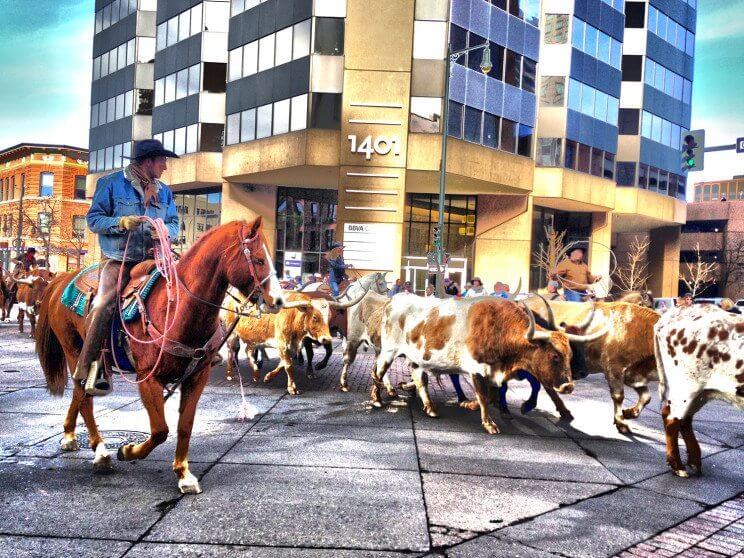 National Western Stock Show Parade | The Denver Ear