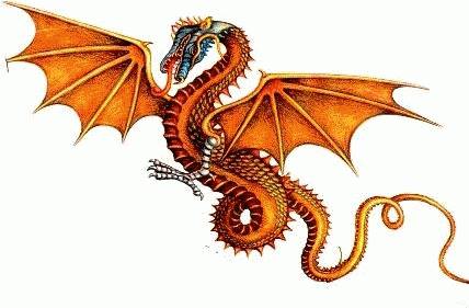 For the Love of Dragons | Into the Mystic Healing & Arts | The Denver Ear