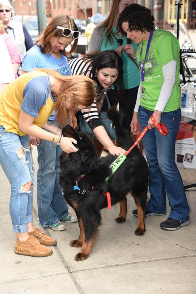 Maxfund No Kill Animal Shelter's Chili Cook-Off | The Denver Ear