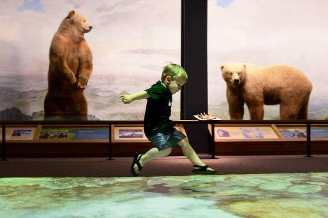 Denver Museum of Nature & Science Free Day | The Denver Ear