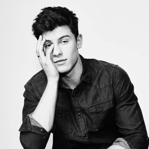 Win Shawn Mendes World Tour Tickets | The Denver Ear