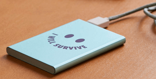 I Will Survive Slim Portable Power Charger | The Denver Ear