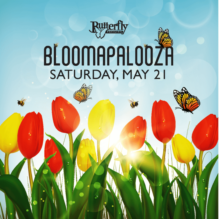 Bloomapalooza at Butterfly Pavilion | The Denver Ear