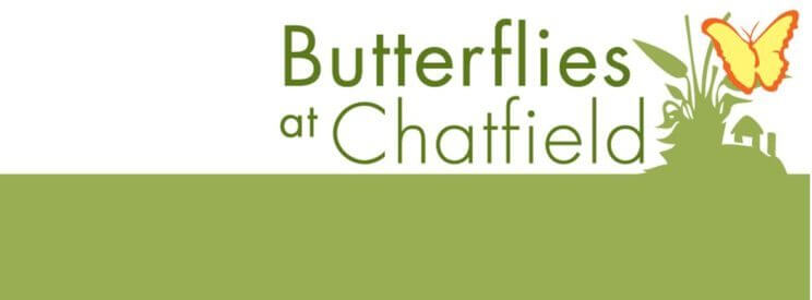 Butterflies at Chatfield | The Denver Ear