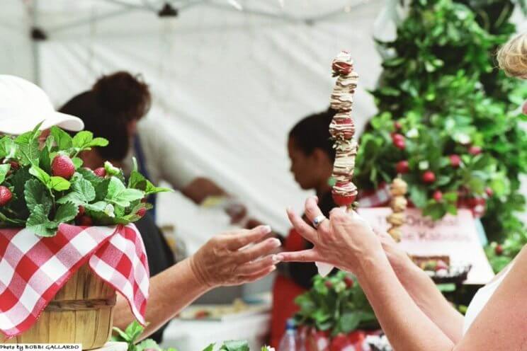 People's Fair 2016 at Civic Center Park | The Denver Ear