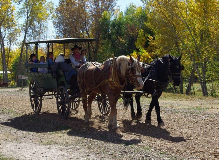 Four Mile Historic Park Free Day | The Denver Ear