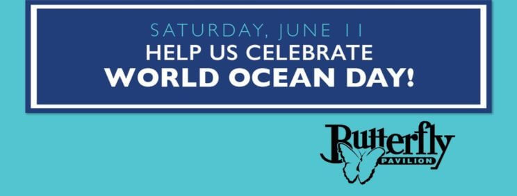 World Oceans Day at Butterfly Pavilion | The Denver Ear
