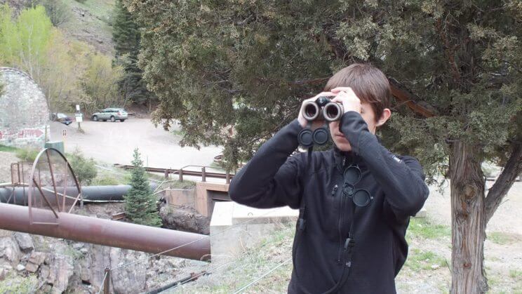 Father's Day VID (Very Important Dad) Raptor Trip | The Denver Ear