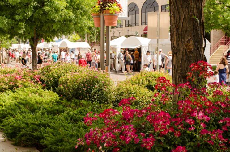 Cherry Creek Arts Festival 2016 | The Denver Ear