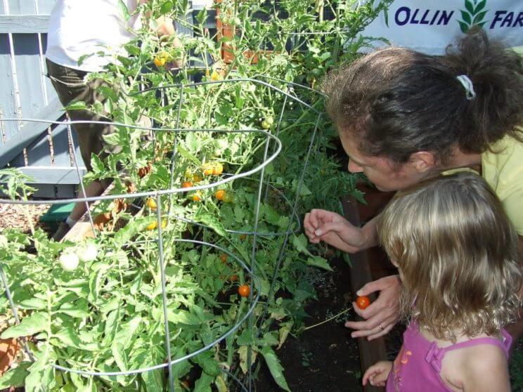 Get Growing Garden Program at WOW! Children's Museum | The Denver Ear