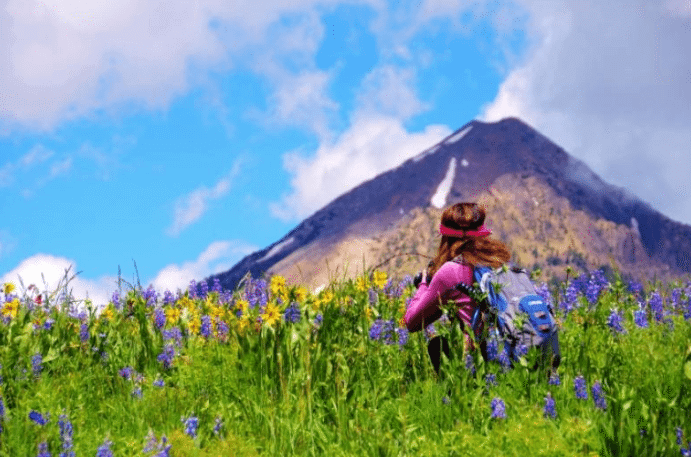 Crested Butte Wildflower Festival | The Denver Ear