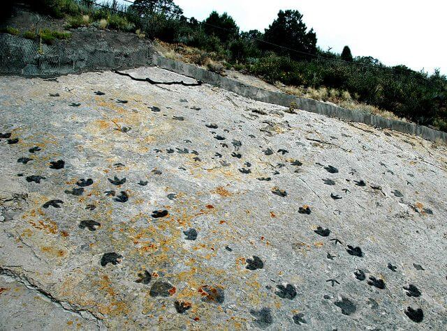  The Dinosaur Ridge Trail | The Denver Ear