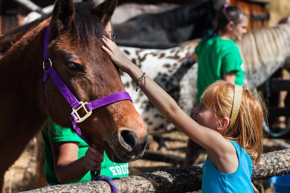 What to do with Kids in Denver this Weekend July 8–10, 2016 | The Denver Ear