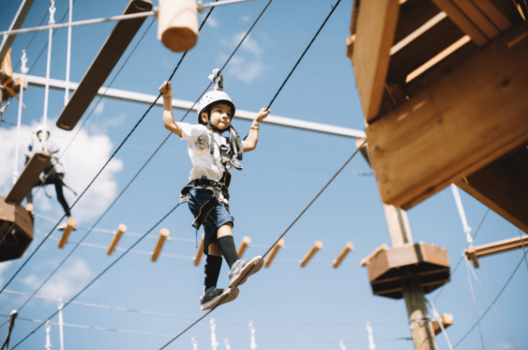 Open Air Adventure Park | The Denver Ear