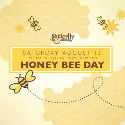 Honey Bee Day at Butterfly Pavilion | The Denver Ear