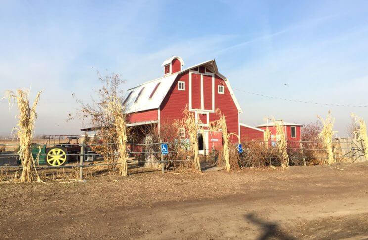 Berry Patch Farms | The Denver Ear