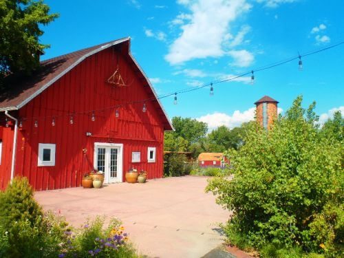 Denver Botanic Gardens Pumpkin Festival | The Denver Ear