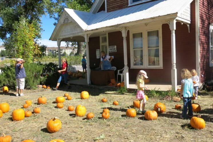 Reynolds Ranch Harvest Festival | The Denver Ear