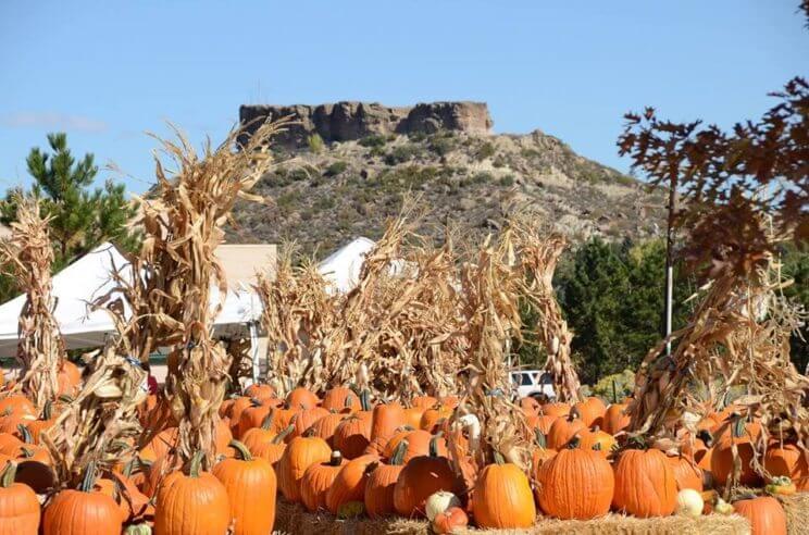 Harvest Festival | Town of Castle Rock | The Denver Ear