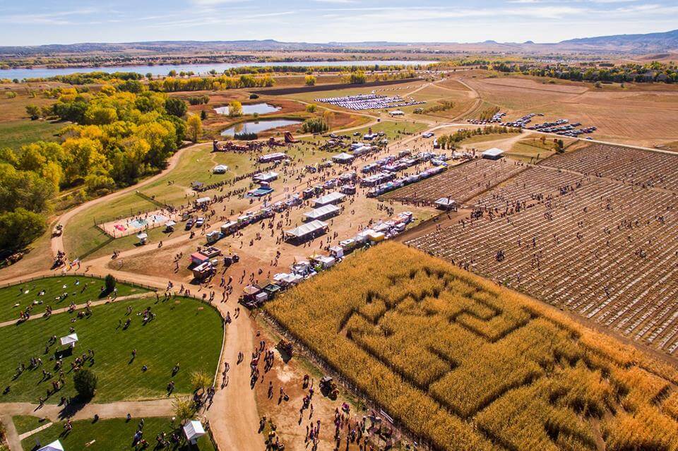 Pumpkin Patches In And Around Denver 2018 The Denver Ear