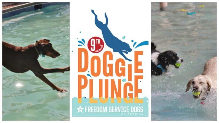 Doggie Plunge Pirates Cove Family Aquatic Center | The Denver Ear