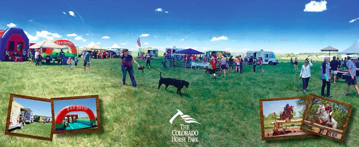 The Colorado Horse Park Fall Family Festival | The Denver Ear