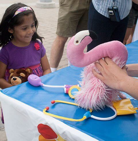 Teddy Bear Clinic at Denver Zoo | The Denver Ear