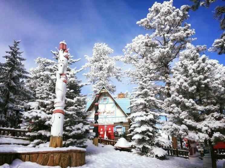 Visit the North Pole Colorado, Santa's Workshop | The Denver Ear