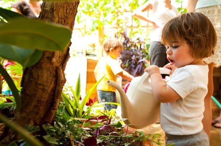 Denver Botanic Gardens | The Denver Ear