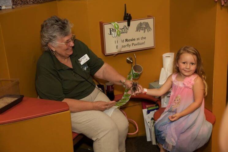 Last $5 Day of the Year | Butterfly Pavilion | The Denver Ear