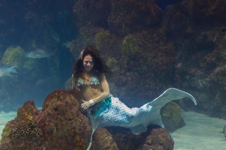 Under the Sea Mystic Mermaid Breakfast | Downtown Aquarium | The Denver Ear