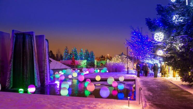 Blossoms of Light | Denver Botanic Gardens | The Denver Ear