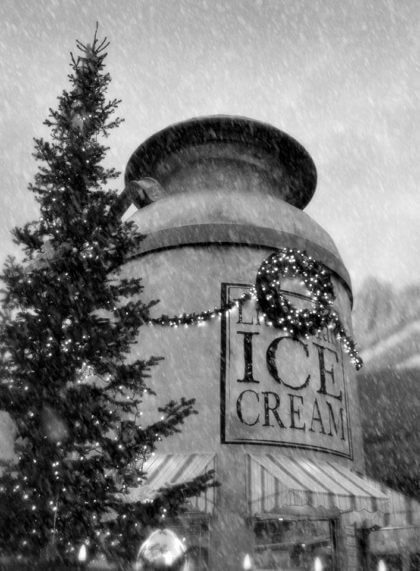 LoHi Holiday Lights | Little Man Ice Cream | The Denver Ear