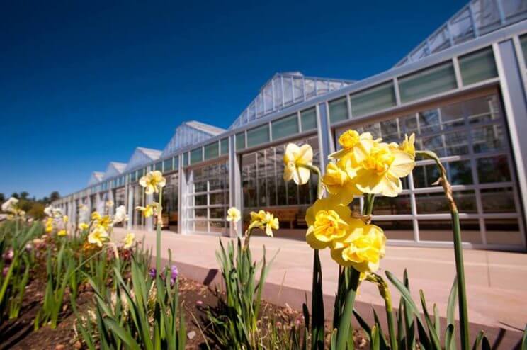 Denver Botanic Gardens | The Denver Ear