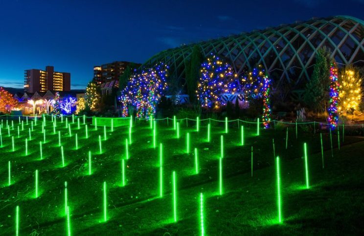 Blossoms of Light Last Weekend | Denver Botanic Gardens | The Denver Ear