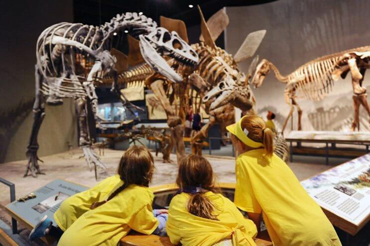 Winter Break Camps | Denver Museum of Nature & Science | The Denver Ear