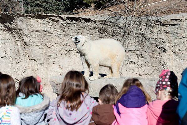 Safari Mini-Camps | Denver Zoo | The Denver Ear